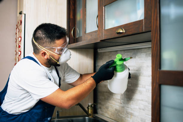 Best Emergency Pest Control  in Oreana, IL