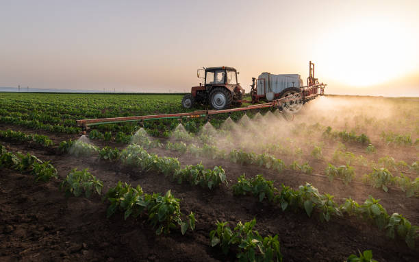Best Pest Control for Businesses  in Oreana, IL