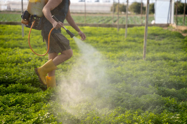Best Exterminator Services  in Oreana, IL