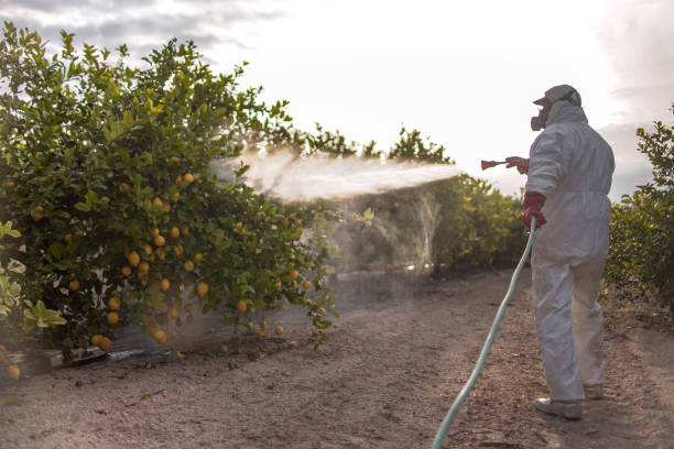 Reliable Oreana, IL Pest Control Solutions