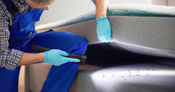 Best Affordable Pest Control Services  in Oreana, IL