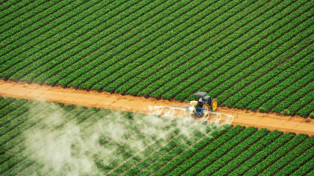 Best Commercial Pest Control Services  in Oreana, IL