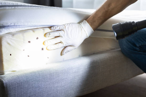 Best Commercial Pest Control Services  in Oreana, IL