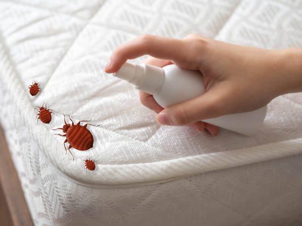 Best Wildlife Control Services  in Oreana, IL