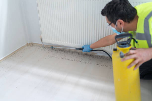 Best Pest Inspection Near Me  in Oreana, IL