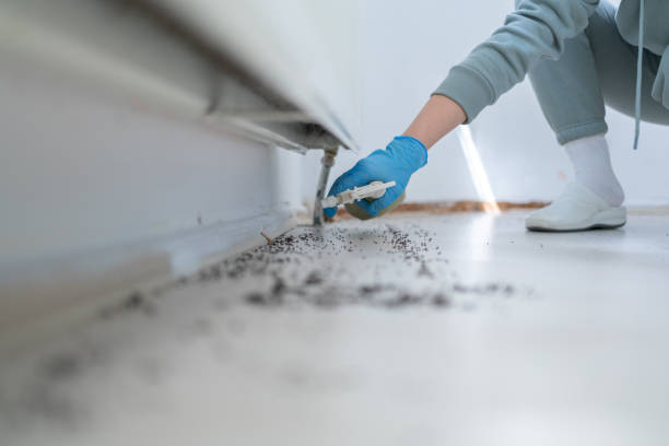 Best Rodent Control Near Me  in Oreana, IL